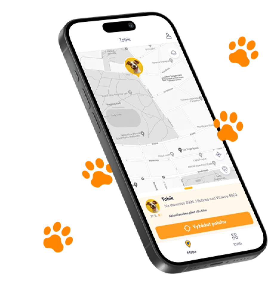 Findee Pets app screen with a dog's route traced on the map